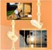 dreams-4web