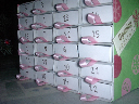 DSCN6366
