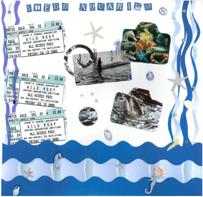 shedd-aquarium
