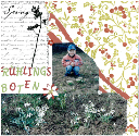 fruehlingsboten